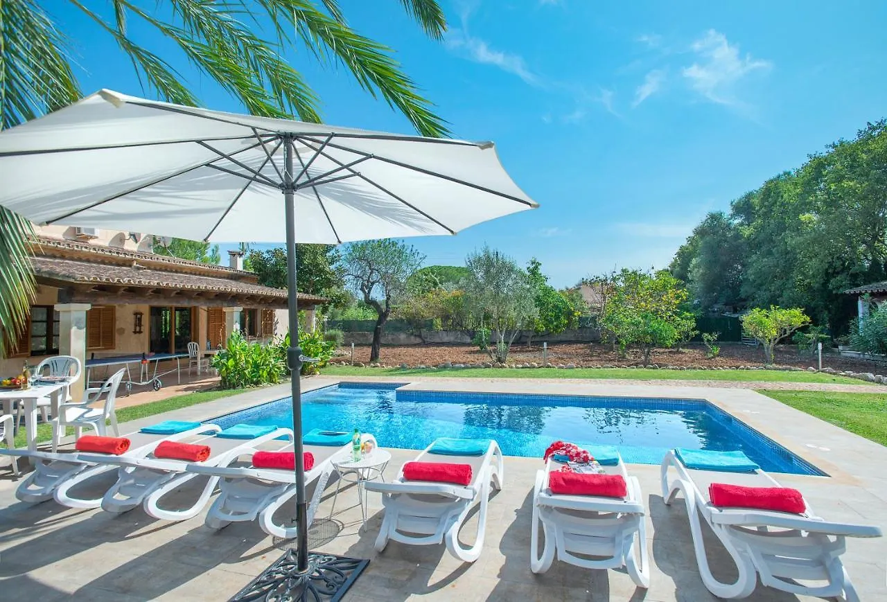 Owl Booking Villa Caty - Rustic Stay Pollenca